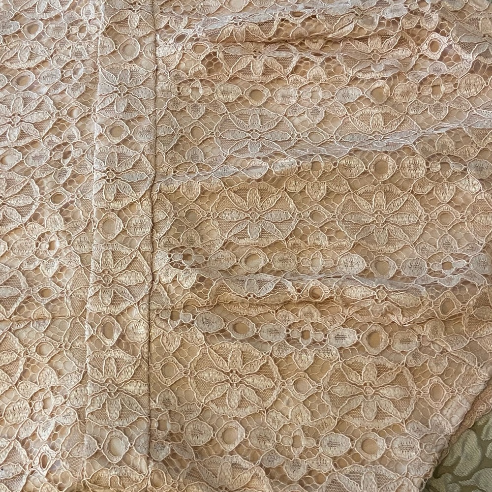 BLUSH LACE DRESS - Picture 14 of 14